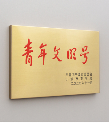 藝創鈦金不銹鋼彩印銅牌匾定制門口墻上60*40公分獎牌