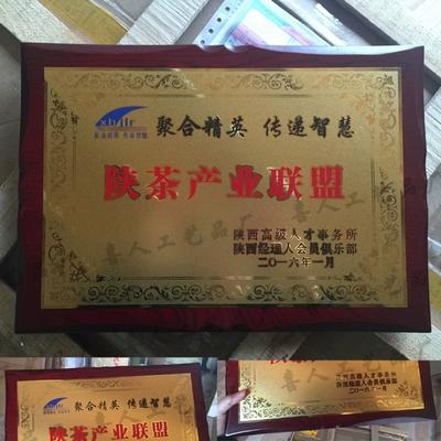 腐蝕砂金鈦金不銹鋼銅牌獎牌制作定制金箔銀箔木托 會員理事單位