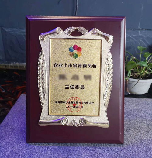 東莞鈦金獎牌訂做 紅木獎牌設計定制 沙金銅牌制作