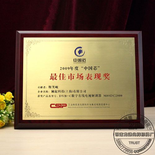 高檔不銹鋼先進集體個人榮譽獎牌金屬 金銀箔經銷商加盟授權牌匾