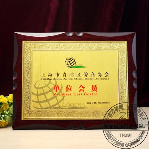 高檔不銹鋼先進(jìn)集體個(gè)人榮譽(yù)獎(jiǎng)牌金屬 金銀箔經(jīng)銷商加盟授權(quán)牌匾-中國(guó)